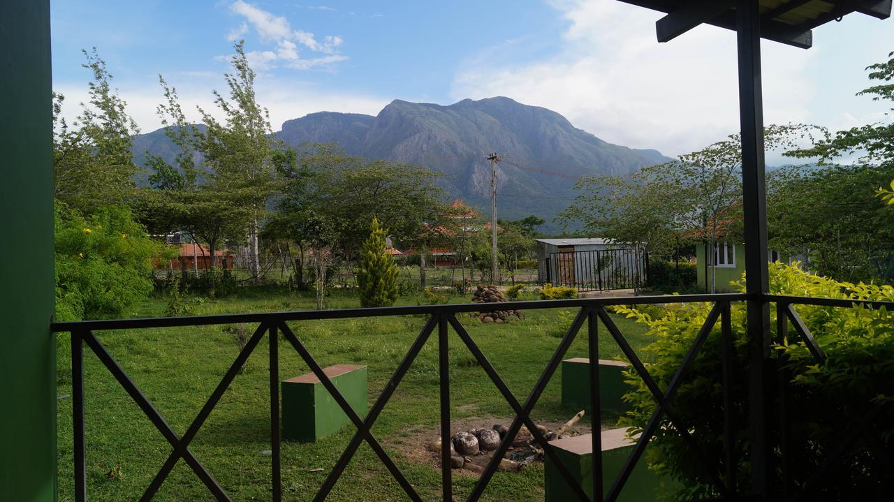 Mountain View Hotel Масинагуди Екстериор снимка