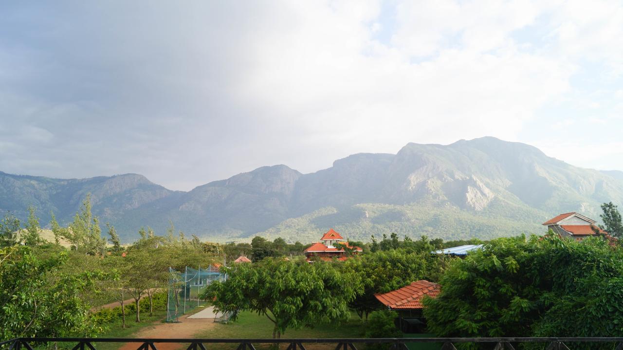 Mountain View Hotel Масинагуди Екстериор снимка